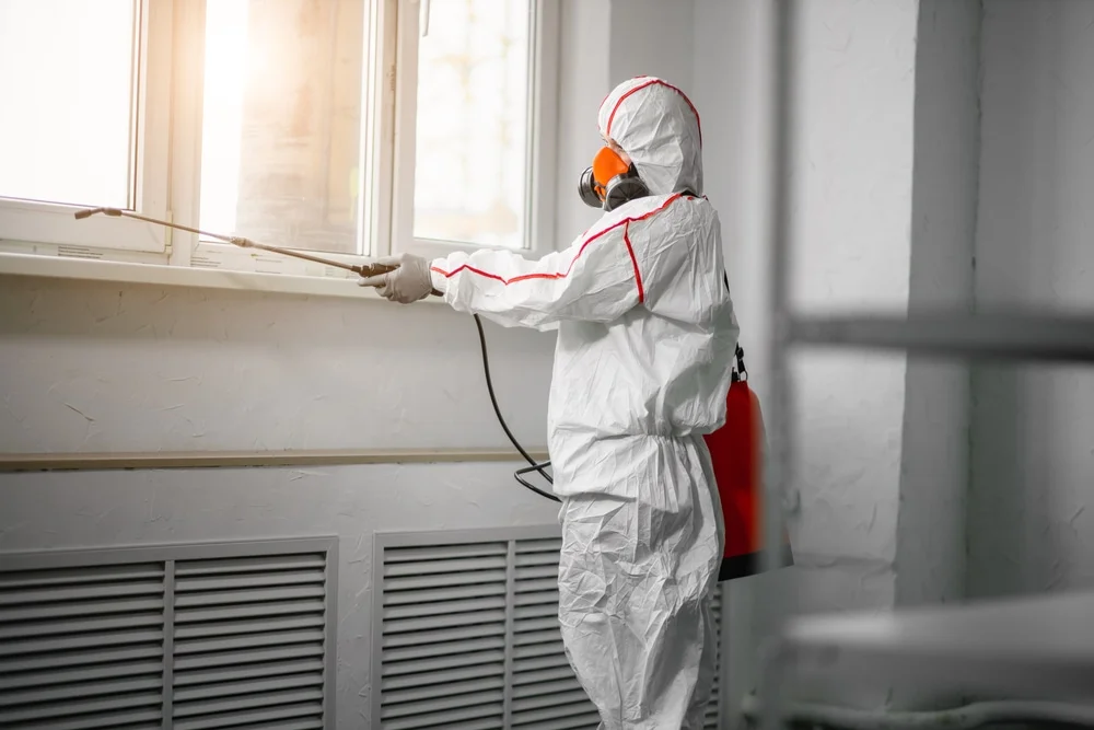Professional mold remediation services in Hanover, NH